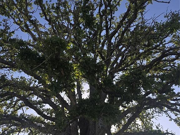 5th image of 1080 Whisper Rd