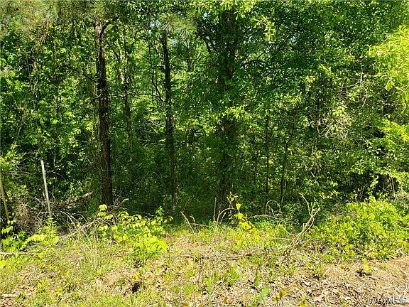 3rd image of 4934 Creekwood Dr