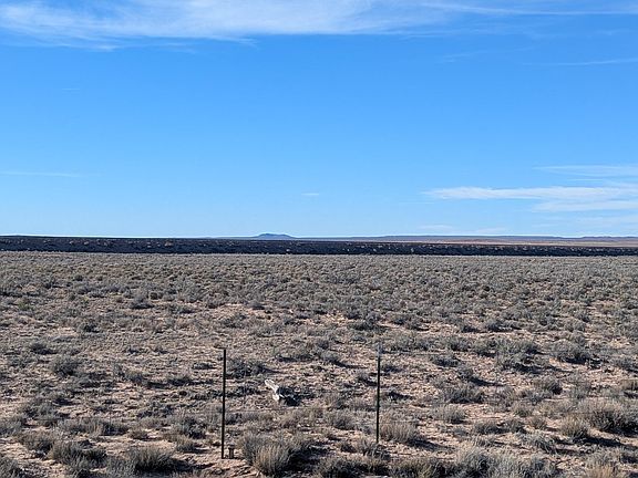 4th image of 40 Acres South Of Navajo Travel Station -- #5