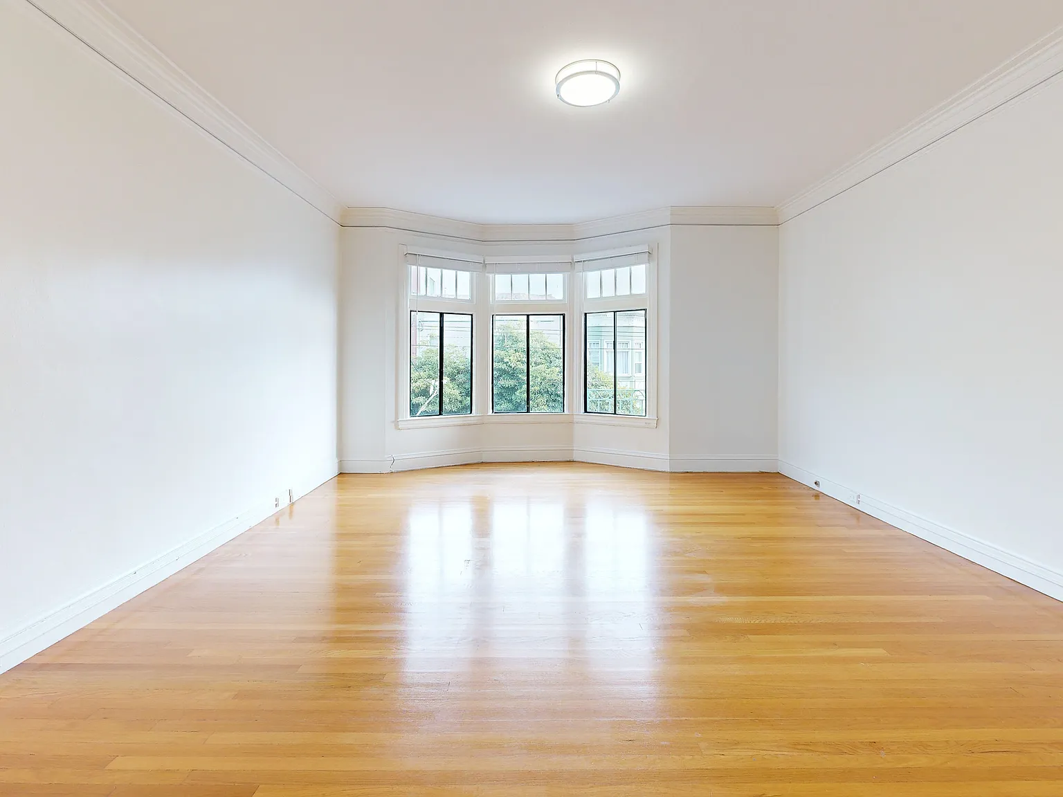1200 square feet - 2 BR x 1 BA with parking option - Hardwood floors great light! — Photo 3