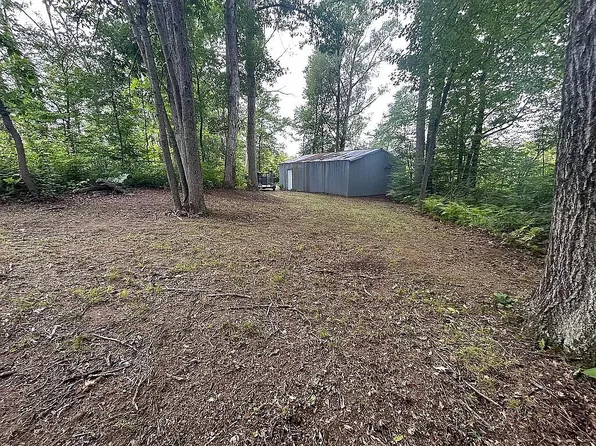 N T Dr, Bellevue, MI 49021