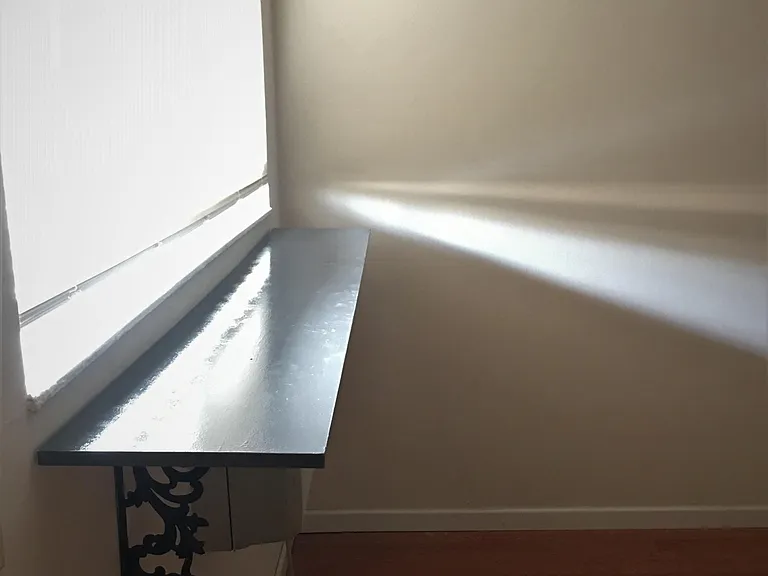 Living room window