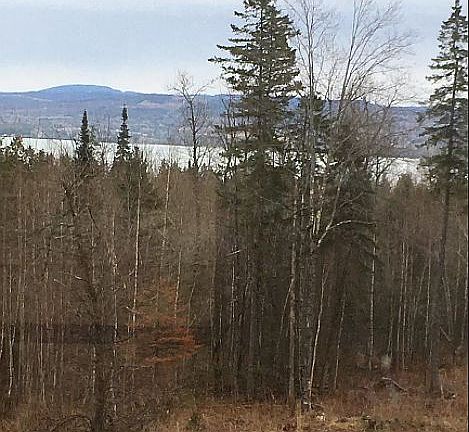 Winter time view of lake.