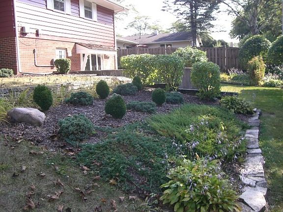 3rd image of 719 Coolidge Pl