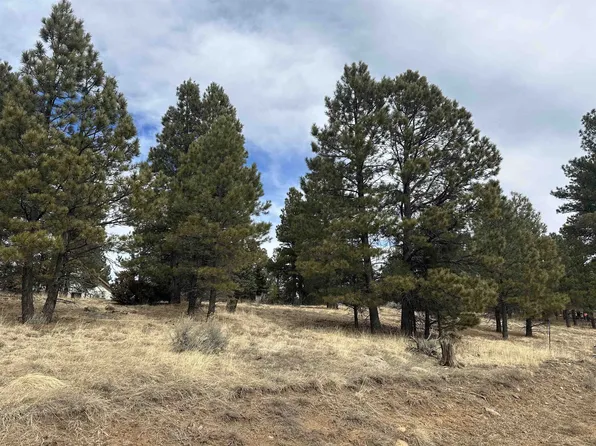 LOT 1288 Torrey Pines Ln, Angel Fire, NM 87710
