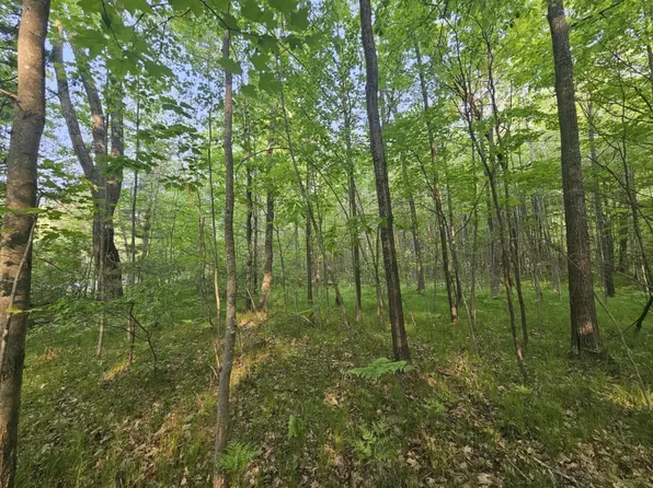 W Mannsiding Rd, Harrison, MI 48625