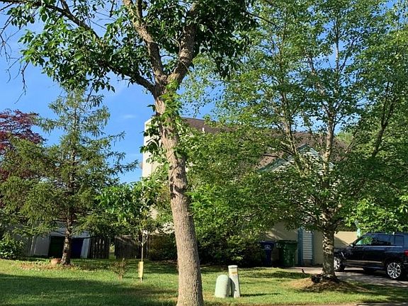 5th image of 12 Wildcat Ave