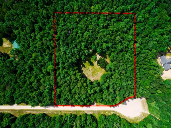 11636 Red Hawk Trl, Fife Lake, MI 49633