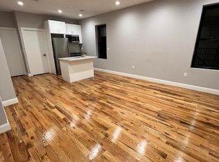 141 Cleveland St #3, Brooklyn, NY 11208