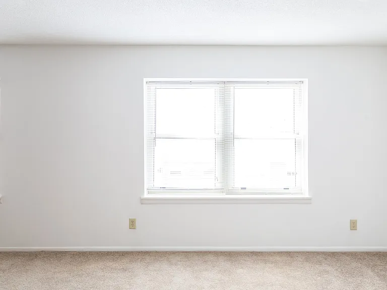 Dining/Living room