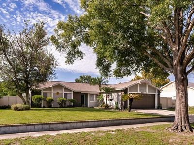 9187 Montevello Dr, Orlando, FL, 32818