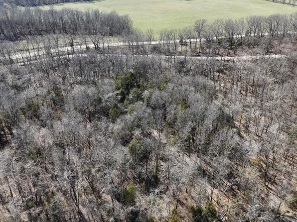 Tract 3 38 Highway, Hartville, MO 65667