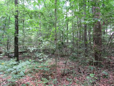0 Rollins Ketchum Rd, Dalton, GA, 30721