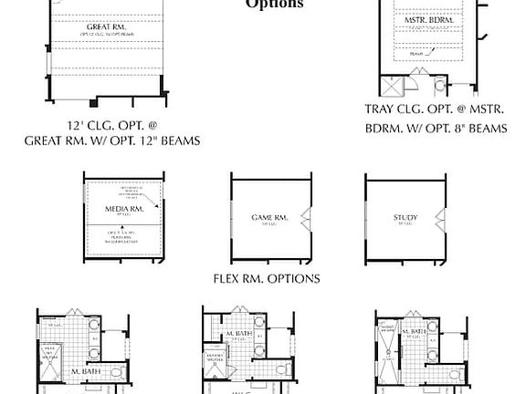 Floorplan with options