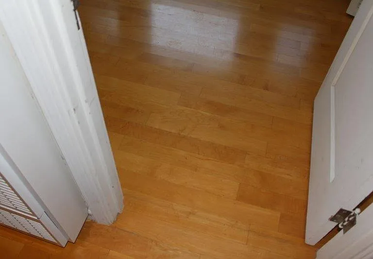 Natural maple floor throughout the unit.