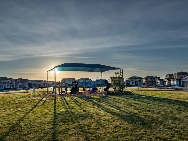 The park