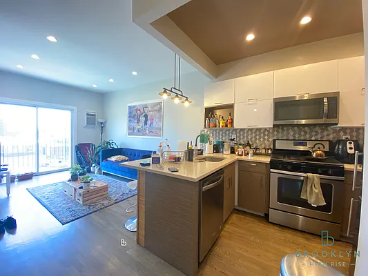 Rented by Brooklyn High Rise LLC | media 2