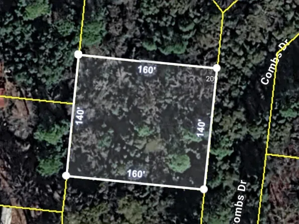205 Combs Dr, Montezuma, GA 31063
