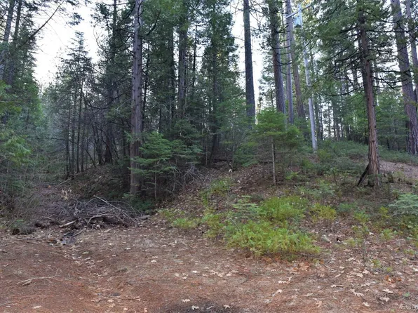 3184 Moran Rd, Avery, CA 95224
