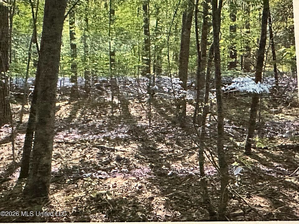 1st image of Stigler Rosa Dr