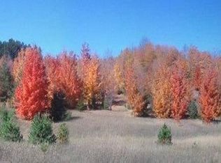 W Huffman Lake Rd, Vanderbilt, MI 49795