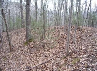 D 4 Gunter Hollow Rd, Robbinsville, NC 28771