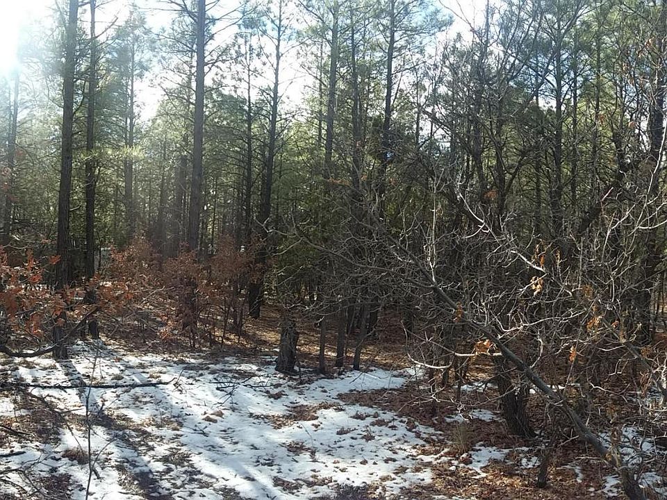 2nd image of 265 Southlake Rd