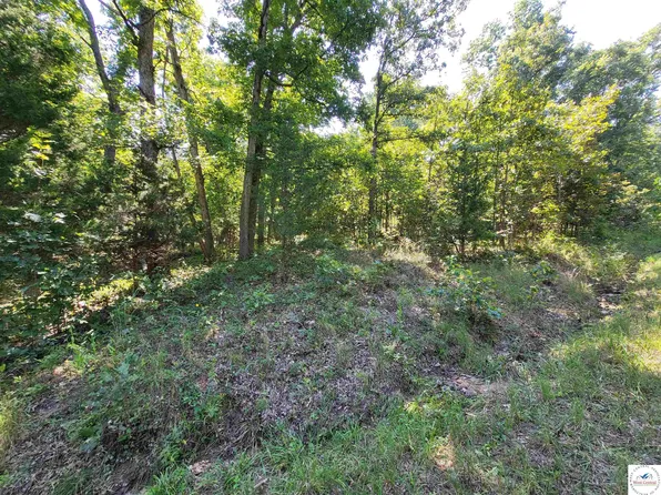 Stuart & Bush Pl, Edwards, MO 65326