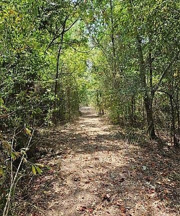 2nd image of 0 Donnie Price Rd