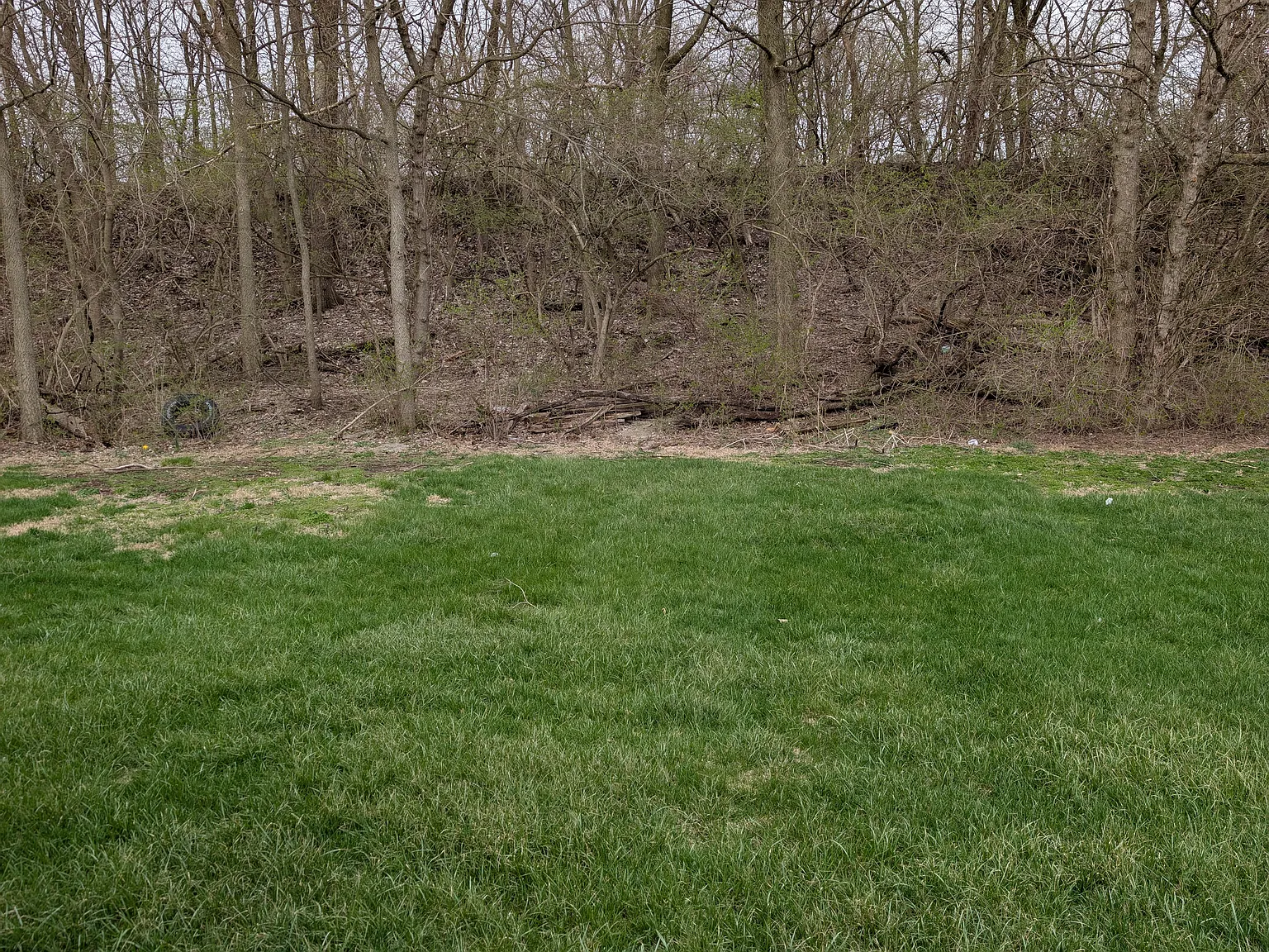 2 bed, 1000 sqft, $1,200 — Photo 3