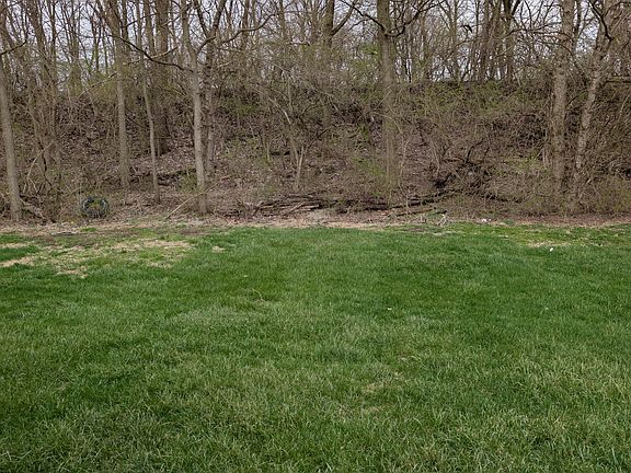 Look at all of this green space in the backyard