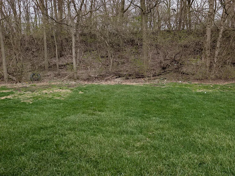 Look at all of this green space in the backyard