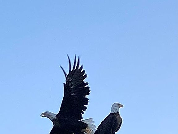 Visitors on the roof