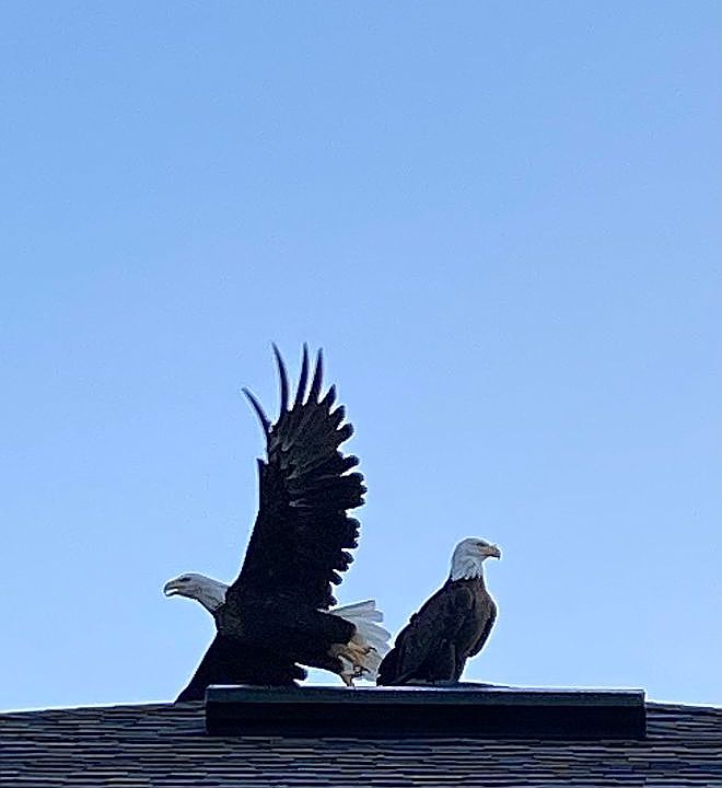 Visitors on the roof