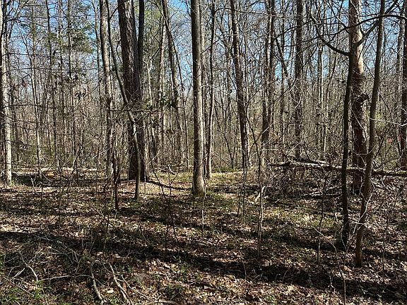 2nd image of 0 Poplar Mountain Ln