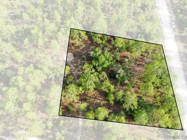 0 NE 131st Ter #9, Williston, FL 32696