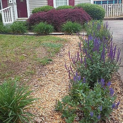 Flowers lining the driveway