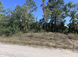 16 Manassas Ave, Brooksville, FL 34614