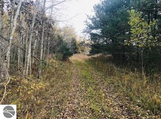 6108 N Us Highway 131, Manton, MI 49663