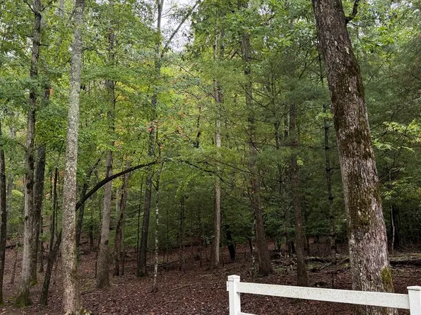 5 Ludlum Ln, Hayesville, NC 28904