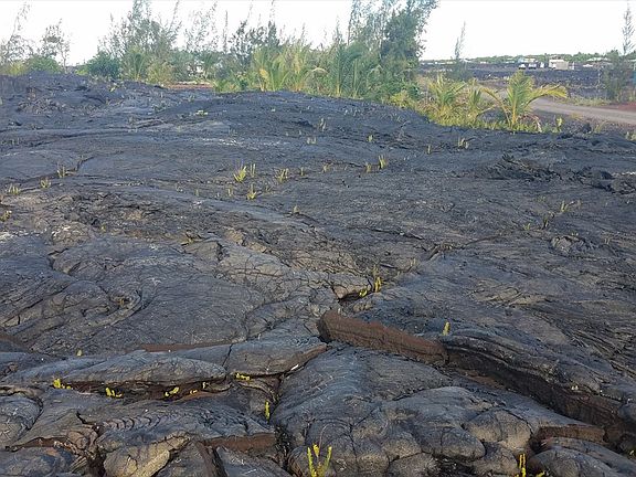 2nd image of Leilani Ave Lot 144