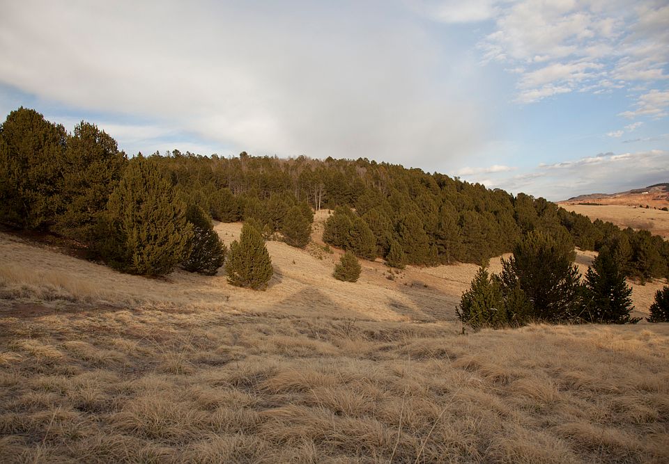 1st image of 3035 County Road 1