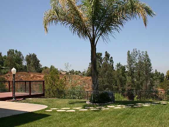 Pool-sized, Park-like back yard