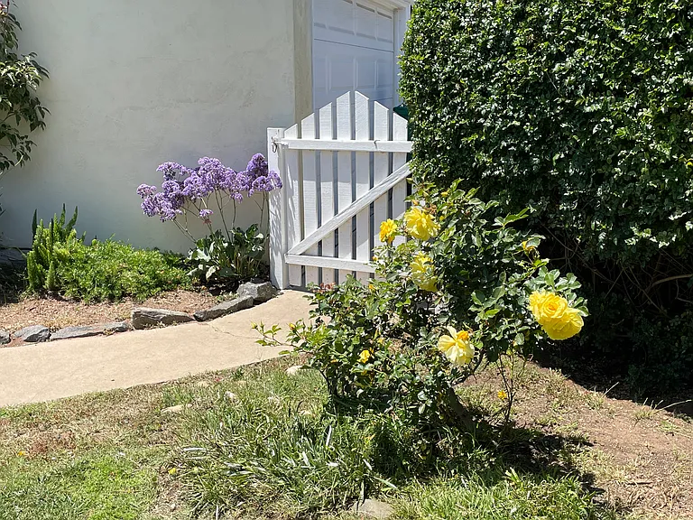 Aragon Dr — Photo 32