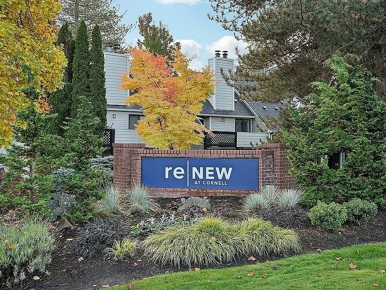 ReNew at Cornell — Photo 47