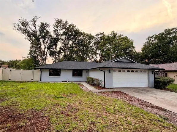 1123 Foggy Ridge Pkwy, Lutz, FL 33559
