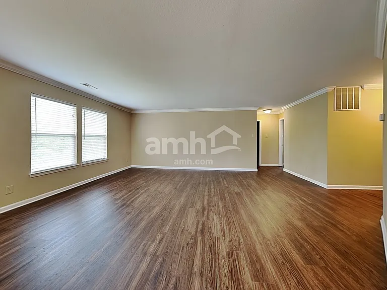 4120 Salem Springs Ct — Photo 6