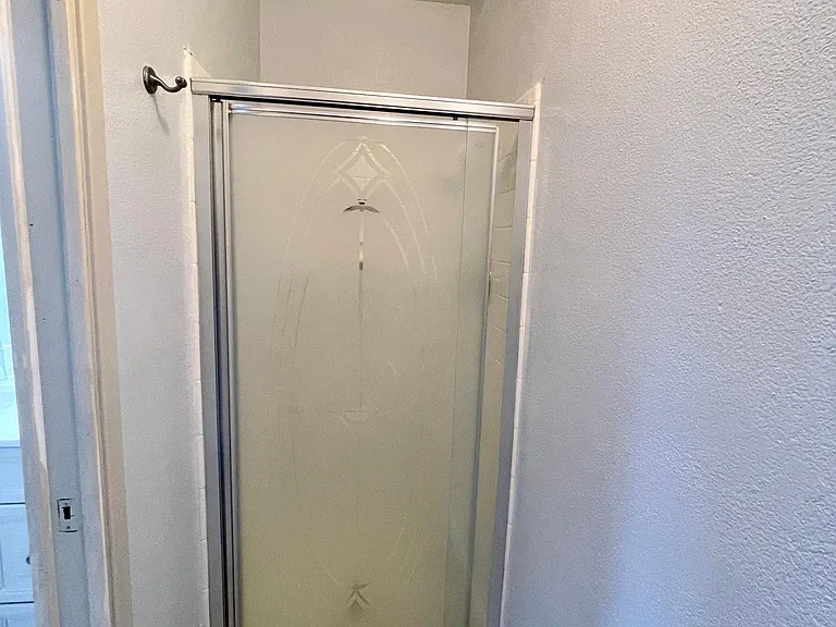 Master Bathroom Shower