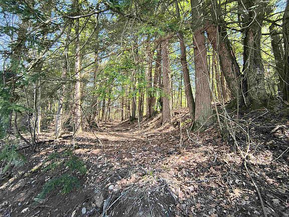 2nd image of 0 Littlefield Road