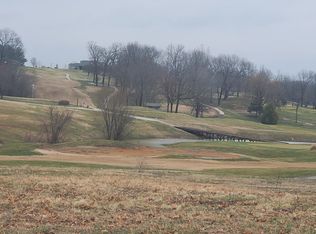 100 Island Green Dr, Republic, MO 65738